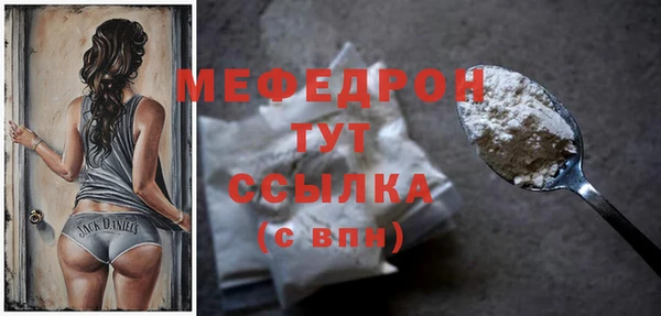 мдпв Вяземский