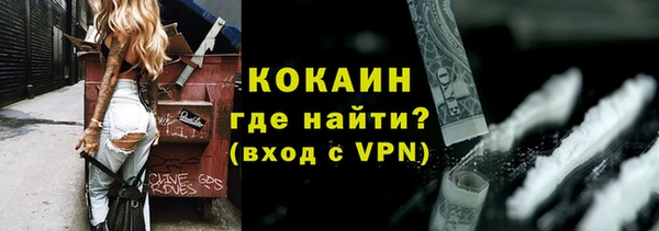 мдпв Вяземский
