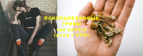 твердый Вязники