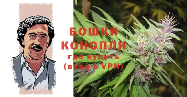 мдпв Вяземский