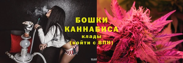 Альфа ПВП Горняк