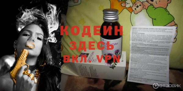 мдпв Вяземский